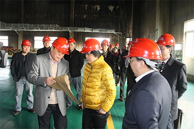 2012年1月31日，時任嘉興市委書記魯俊率領市發(fā)改委等市級部門負責人到公司調研