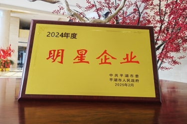 新春新景新氣象 | 景興紙業(yè)在平湖三干大會(huì)上喜摘榮譽(yù)！